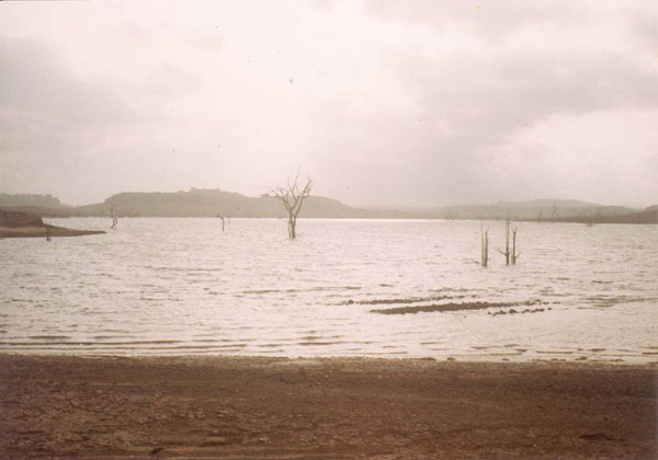 water at madenur