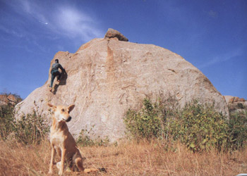 Climbing at Turahalli