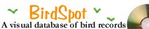 BirdSpot