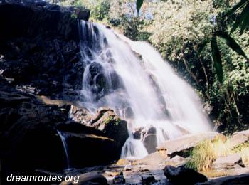 Sirimane Falls - Chickamagalur